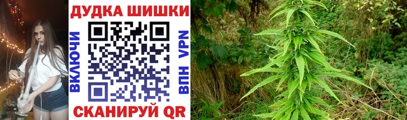 Где купить Кудымкар МАРИХУАНА СК Галлюциногенные грибы Экстази COCAIN ГАШ Меф