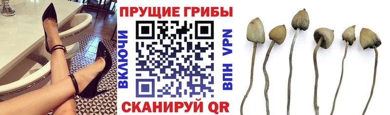 Псилоцибиновые грибы ЛСД Кудымкар